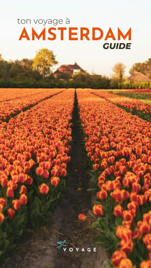 guide gratuit ebook amsterdam ton voyage